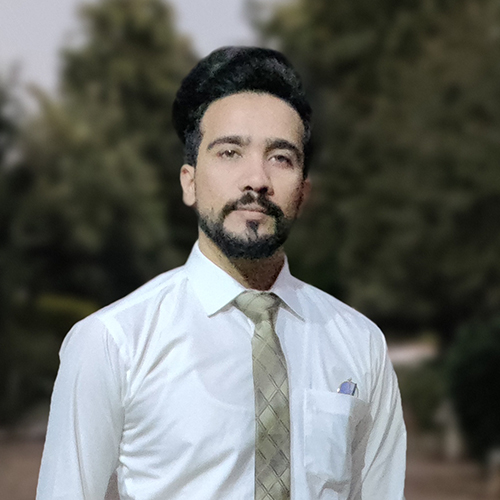 Ehtesham Tariq - Webdeveloper - Proteus Technologies